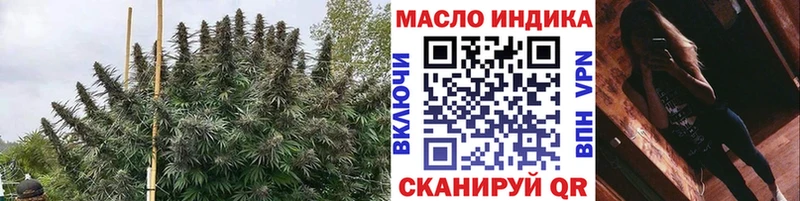 Купить где  Щигры  Дистиллят ТГК гашишное масло 