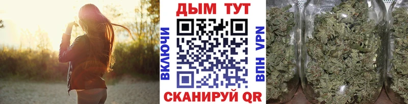 Купить закладки  Щигры  Марихуана конопля 